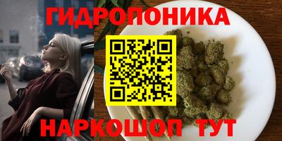 ГАЛЛЮЦИНОГЕННЫЕ ГРИБЫ Северобайкальск