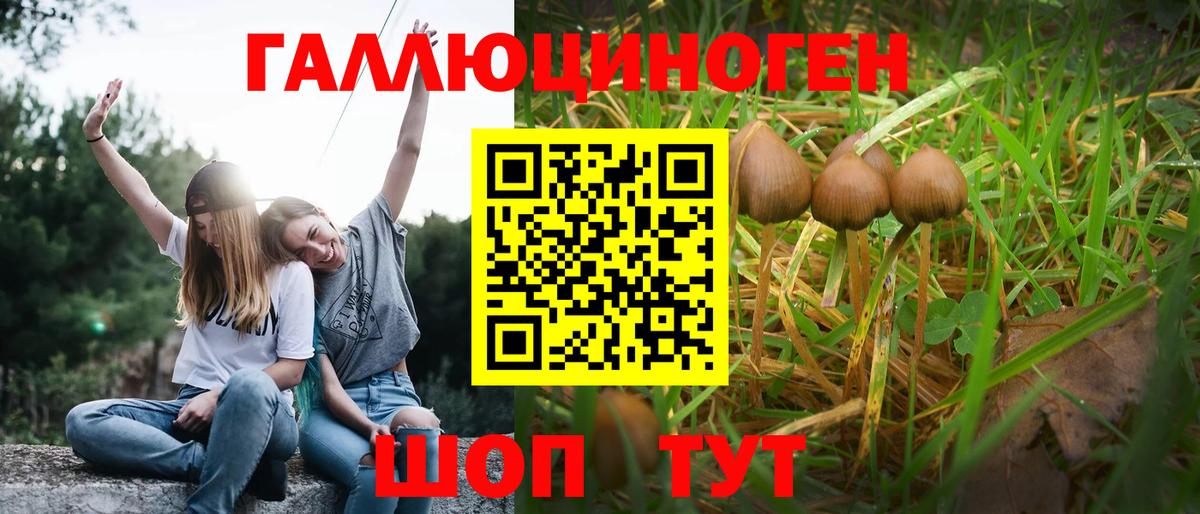 Псилоцибиновые грибы Psilocybine cubensis  Вход с VPN  Бутурлиновка 